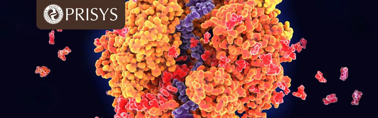 PRISYS PRISYS