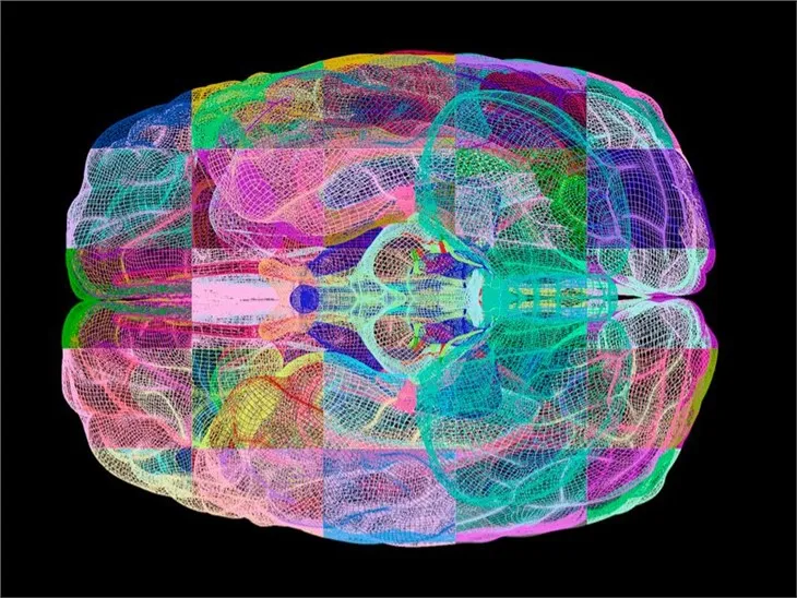 نموذج مرض آلام الأعصاب غير البشرية