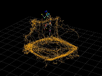 نظام تحليل السلوك NHP القائم على الذكاء الاصطناعي