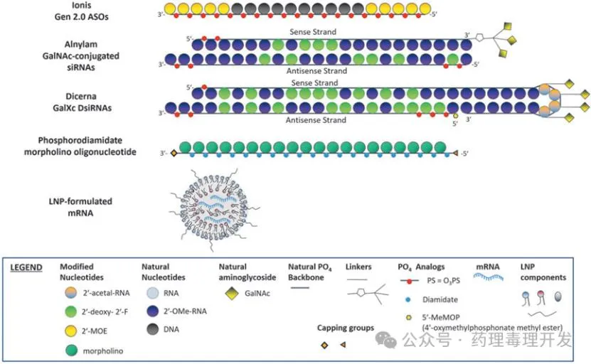 Prisys-Biotech-mRNA Prisys-Biotech-mRNA