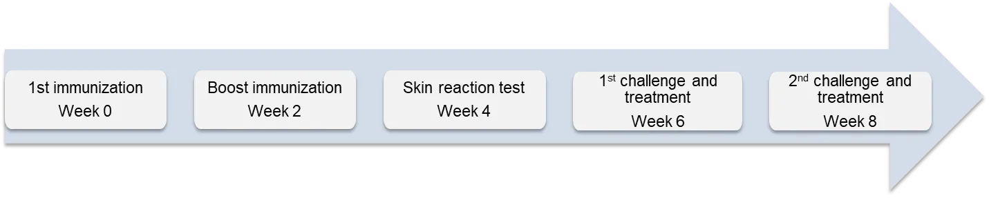 study design of Delayed type hypersensitivity (DTH) model study design of Delayed type hypersensitivity (DTH) model